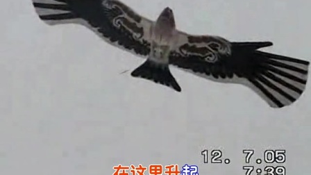 2011中华盘鹰之家视频