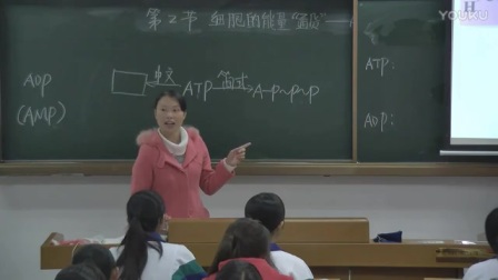 高中生物《细胞的能量“通货”——ATP》教学视频（东莞市第二高级中学-