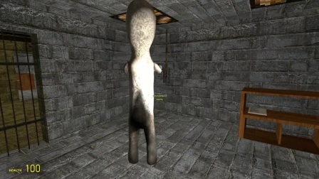 【平齐转播】4-22(6) GMOD恐怖地图！逆风笑直播！