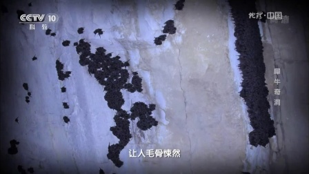 犀牛奇洞 地理中国 20170507 高清版