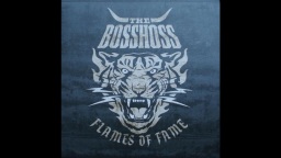 The Bosshoss - My Personal Song