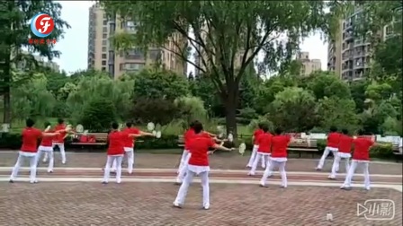 上海市闵行区古美街道柔力球队学练柔力球广场健身套路第三集（夕阳红）