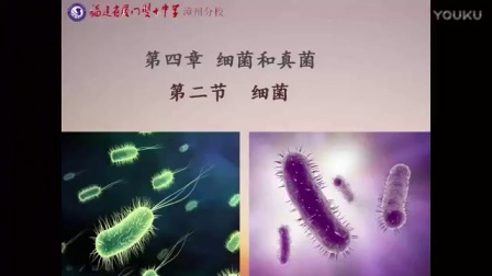人教版初中生物八年级上册《细菌》教学视频，福建省厦门双十中学漳州分校