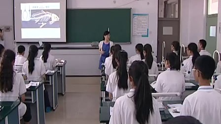 人教版初中生物八年级上册《鱼》教学视频，天津市滨海新区塘沽第六中学