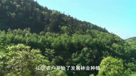 贵州中山中药材种植开发有限公司专题片