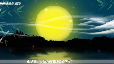 中国古典音乐欣赏 古筝曲《平湖秋月》