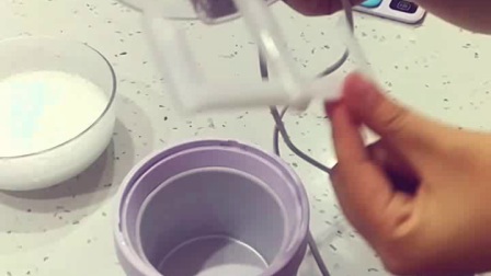 东菱冰激凌机制作视频--制作香草冰激凌