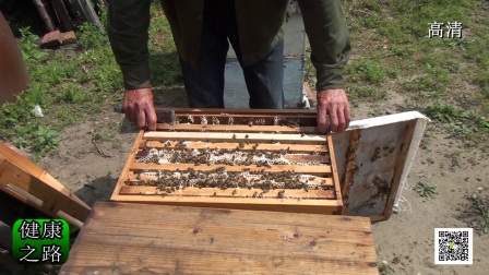 《健康之路》- 小天农场-尚志市榆林蜜蜂养殖专业合作社