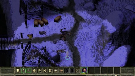 冰风谷2德鲁伊Icewind Dale 2 HoF Solo Druid Part 8