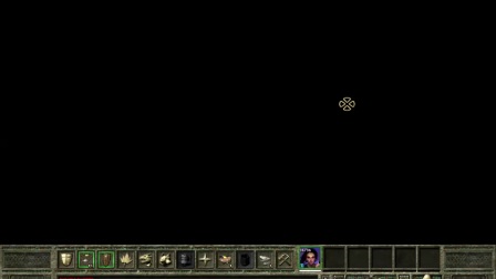 冰风谷2德鲁伊Icewind Dale 2 HoF Solo Druid Part 3