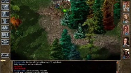 博德之门三部曲 Mega Mod Part 90 - Cloakwood Wyverns