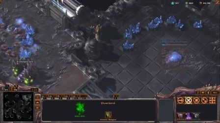 星际2神族超级战术 12 先知 2- LotV #55 - Mass Oracle (ZvP)