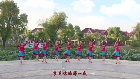 上海闵行区山花儿姐妹快乐舞蹈队《梦见你的那一夜》（9人版)编舞：応子 制作：花儿