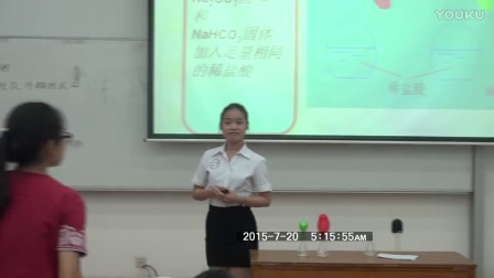 第三届广东省师范生高中化学模拟上课视频《碳酸钠和碳酸氢钠》
