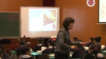 一线教师优质示范课一年级语文上册《雨点儿》教学视频，叶秀萍