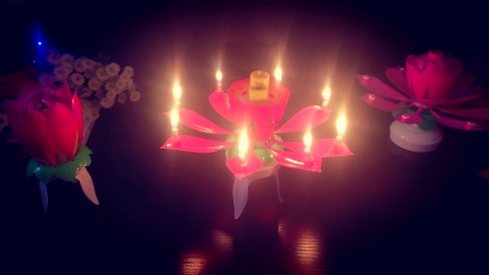 生日蛋糕音乐蜡烛