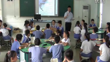 人教版语文五年级《鲸》教学视频，胡荣基