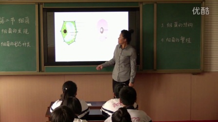 八年级生物《细胞》教学视频，王新