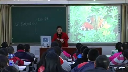 长春版小学语文六年级下册《大孔雀蛾的晚会》教学视频，庞惠玲