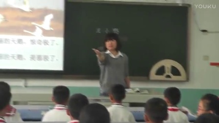 人教版小学语文二年级下册《丑小鸭》教学视频，天津刘妍