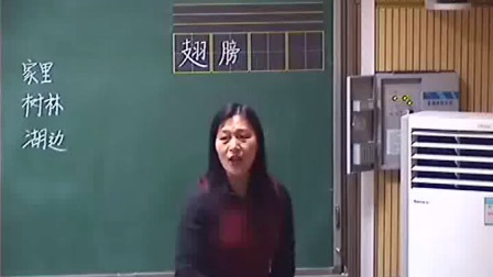 人教版小学语文二下《丑小鸭》教学视频，吕永红