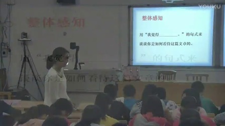 人教版初中语文八年级上册《背影》教学视频，湖南-潘琳环