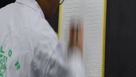 【艺术涂料培训班】塔萨尼艺术漆texture薄浆肌理造型效果施工工艺教学视频