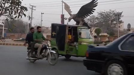 都问巴基斯坦什么生意好做,你们看看这摩托车