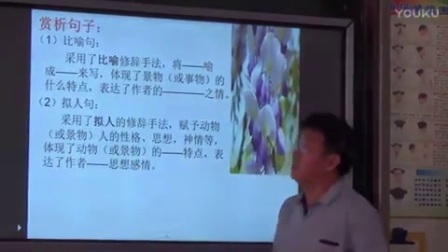 人教版初中语文七年级下册《紫藤萝瀑布（第二课时）》教学视频，李连松