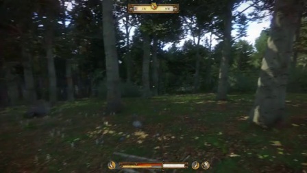 【转载疾风小T】《天国：拯救》全剧情流程视频攻略 第七期：生死之交！