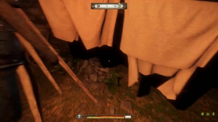 【转载席拉多】《天国拯救》精编完整流程15.配错瘟疫药