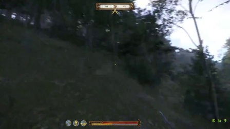 【转载席拉多】《天国拯救》精编完整流程29.投石机之威