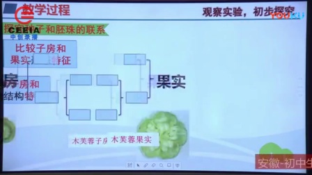 第四届全国初中物理教师实验教学说课视频《植物的有性生殖》刘鑫