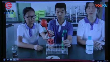 高中化学说课《气球在影响化学反应速率的因素实验中的应用》【刘娜】（第四届全国中小学实验教学说课活动）