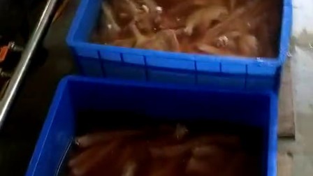 经过一天一宿的泡制，鸭货的血水都被泡制出来了