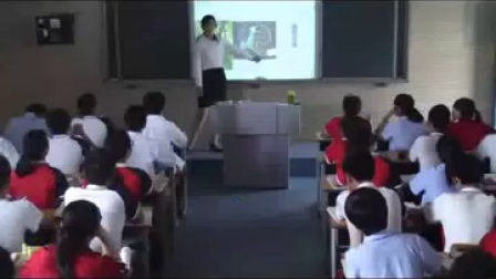 高二生物《生态系统的结构》教学视频，王伟娜