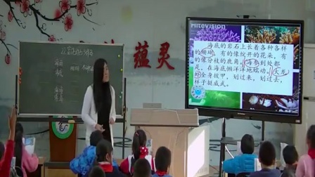 人教版小学语文三年级上册《22 富饶的西沙群岛》教学视频，北京市省级优课
