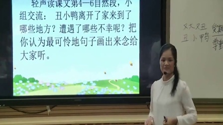 人教版小学语文二年级下册《28 丑小鸭》教学视频，广西省级优课