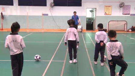 人教体育与健康课标版一至二年级《脚内侧踢球》教学视频，获奖课视频