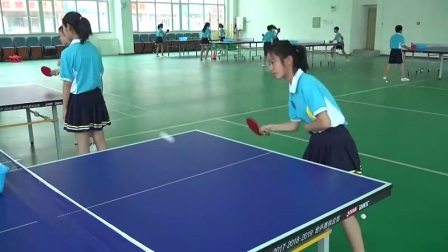 冀教体育与健康五至六年级《乒乓球》（小学体育教师参赛获奖课例教学视频）