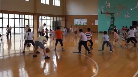 科学体育与健康二年级 小篮球：原地拍运球 教学视频，获奖优课视频