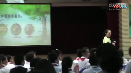 五年级音乐《森林狂想曲》（2015年广西省中小学音乐教师优质课及观摩活动）