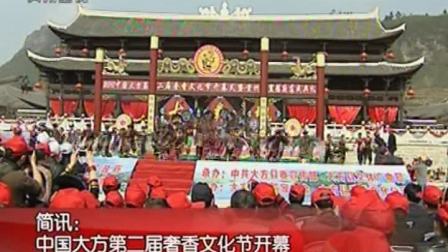贵州新闻联播 中国大方第二届奢香文化节开幕2010.4.23