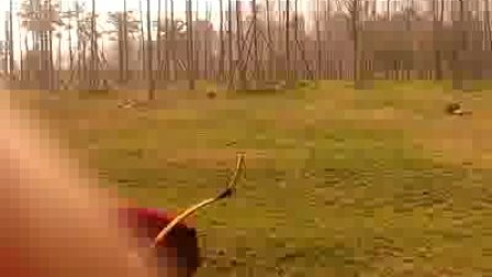 蒙古式射箭视频