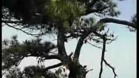 药师佛灌顶真言