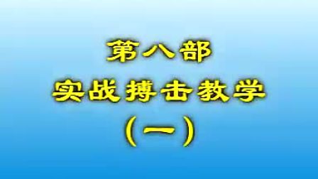 警拳道教学之实战搏击教程1