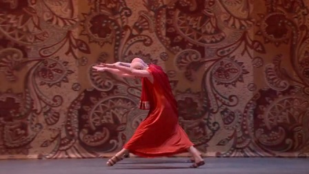 芭蕾《舞姬》第二幕，莫斯科大剧院 2013.1.27