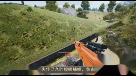 绝地求生: 决赛圈伪装成一棵草, 四个敌人贴身而过, 都没发现我