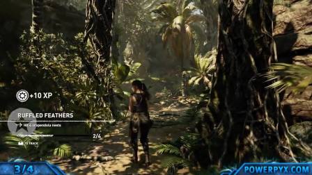【转载Powerpyx】《古墓丽影暗影》挑战任务视频攻略03.Ruffled Feathers