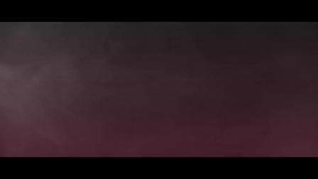 Avicii ft. Sandro Cavazza - Without You (Starlyte Remix) _ Lyric Video
